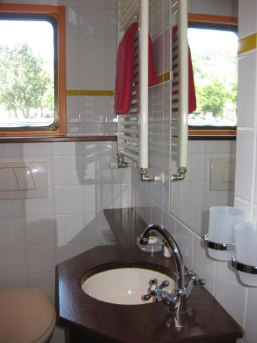 Hotelboot Zwaan, Амстердам (фото 5)