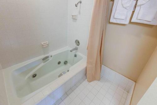 Aspen Creek #204 - image 4