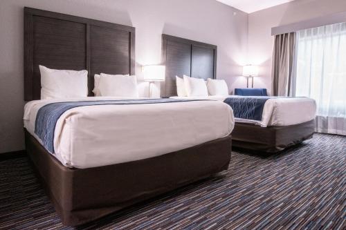 Comfort Inn & Suites Near Medical Center - image 2