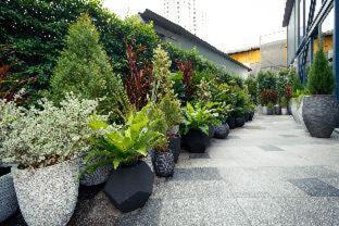 Klub Hotel Bangkok, Bangkok (fotografie 8)