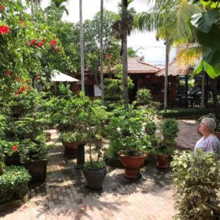 Betel Garden Villa, Hội An (Foto 11)