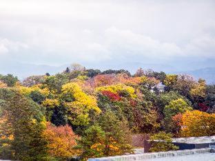 Four Points Flex by Sheraton Kanazawa, Kanazawa (fotografie 10)
