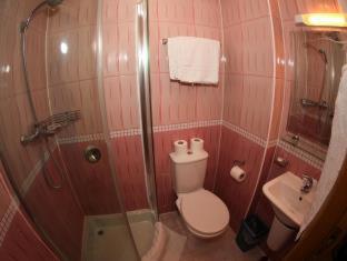Holland Inn Hotel, Londra (foto 8)