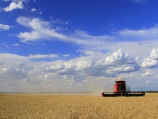 Goondiwindi Motel in جوندوندي