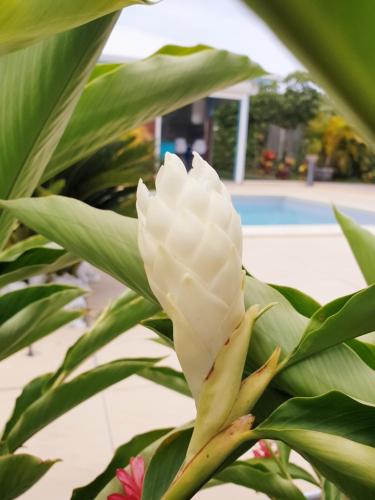 Gites Fleurs d'abeilles Gites Fleurs d'abeilles