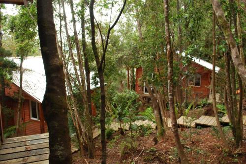 Viesnīcas āriene, Chucao Bosque y Cabañas (Chucao Bosque y Cabanas) in Čaitena