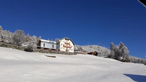 Kieferhof - Apartment - Iselsberg