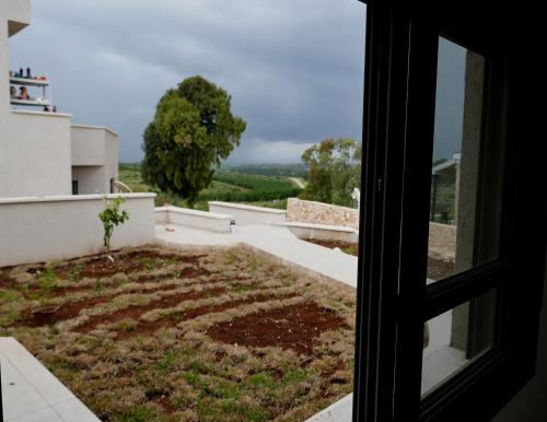 נוריות בגלבוע 2 in Gidona