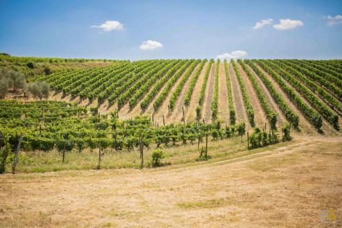 Terre di Melazzano - Le Case di Patrizia