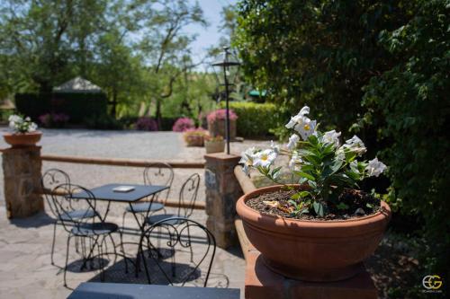Terre di Melazzano - Le Case di Patrizia