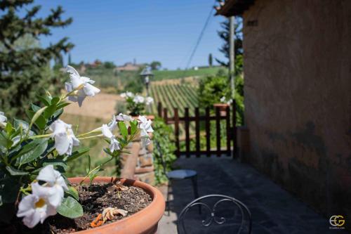 Terre di Melazzano - Le Case di Patrizia