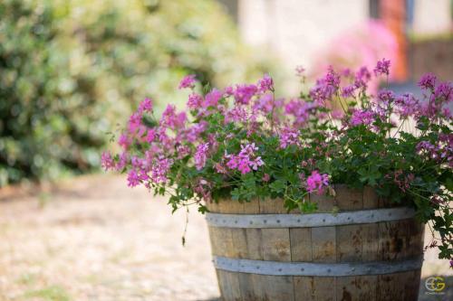 Terre di Melazzano - Le Case di Patrizia