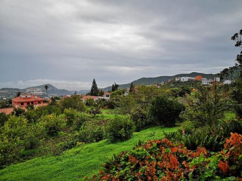 FINCA EL PEDREGAL