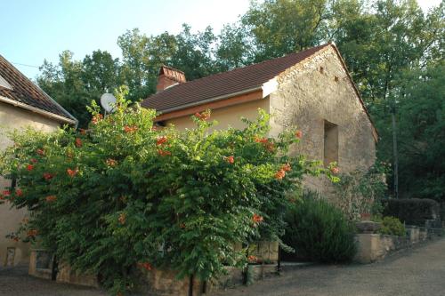 Le Moulin du Bouscot gîte à louer Castelnaud-la-Chapelle