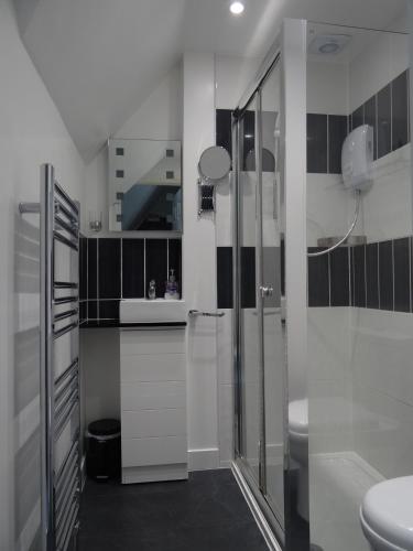 South Beach B & B - image 6