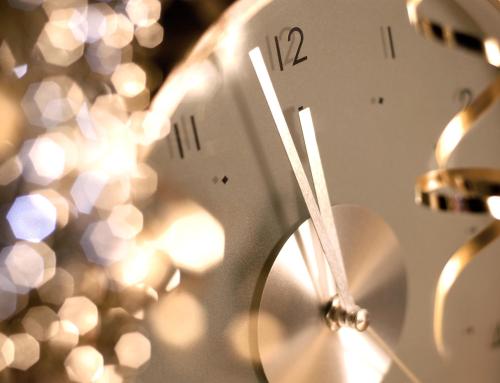 Dom Pedro Lisboa - image 8