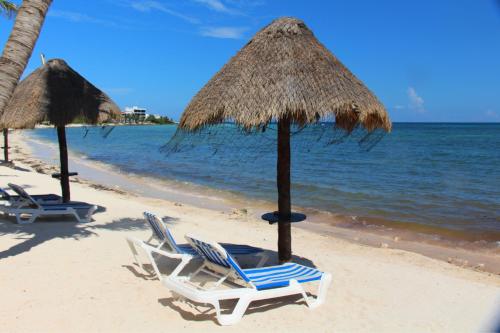Beautiful & Cozy Studio in Akumal Paradise-Wifi, AC, Akumal (photo 6)