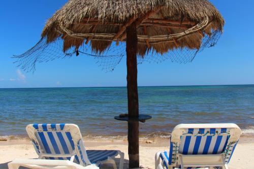 Beautiful & Cozy Studio in Akumal Paradise-Wifi, AC, Akumal (photo 9)