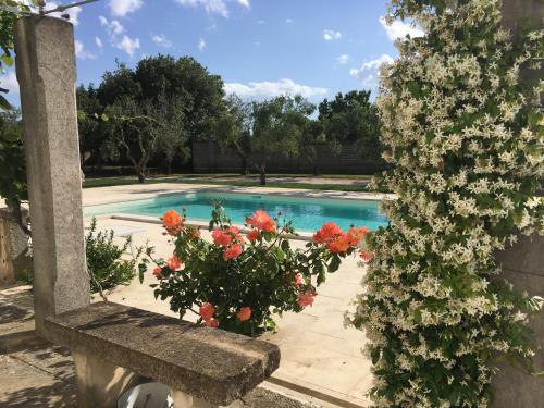Swimming pool, Corte dei Salentini in Carpignano Salentino
