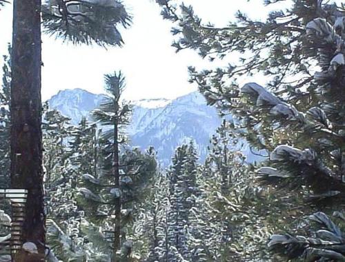 Horizons 4 #144 - image 7