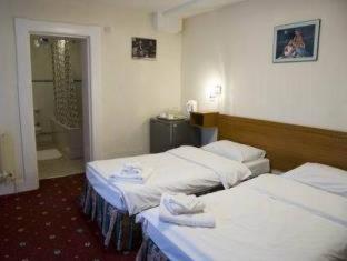Bridge Park Hotel, London (Foto 8)