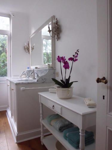 Apartments Suites in Antwerp, Anvers (photo 9)
