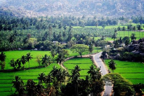 LEE HOMESTAY