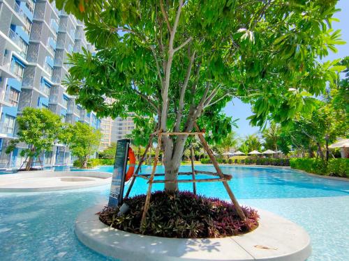 BLU-Pool Access, Ча-Ам (фото 9)