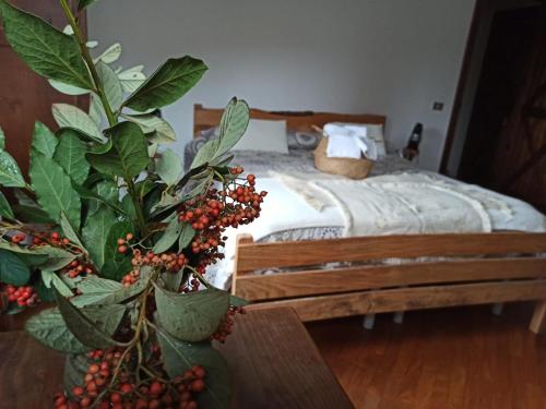 B&B Masseria la Fiorita