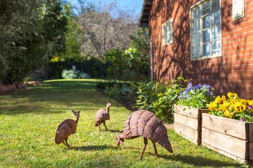 Hillside Guest House in Bethulie