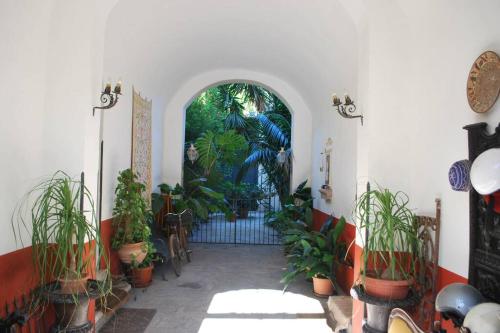 casa immersa nel verde al centro di Palermo, Palermo