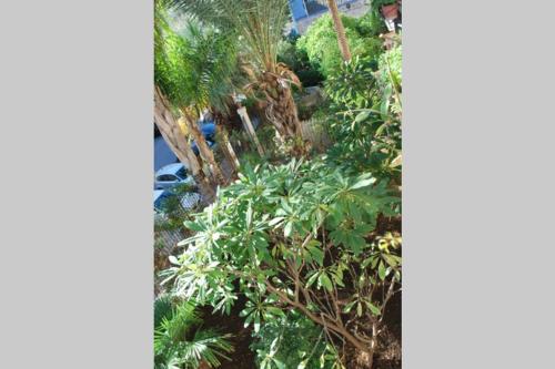 casa immersa nel verde al centro di Palermo, Palermo (fotografie 10)