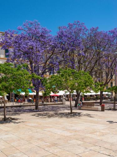 Home Art Apartments Malaga