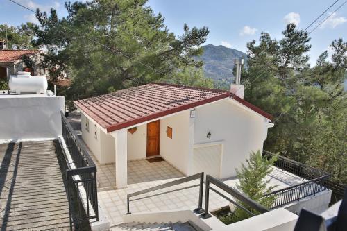 Nestor Hillside Moniatis House - image 7