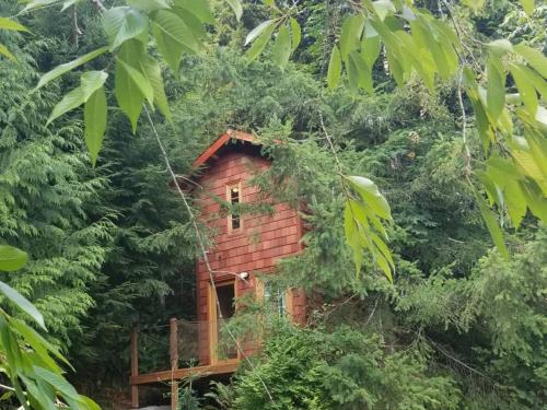 Treehouse Place at Deer Ridge Featured top 10 USA!