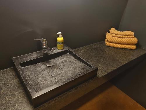 Z Studio - next door to Vals Therme, Vals (fotografie 8)