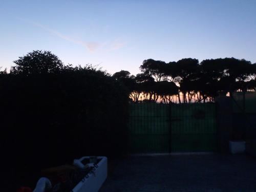 ABULAGAR, Rota (photo 5)