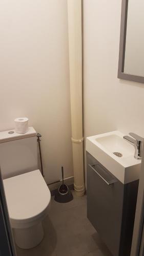 Fürdőszoba, Appartement au calme in Germigny-l'Évêque