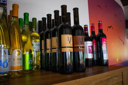 Playas del Vicario - image 11