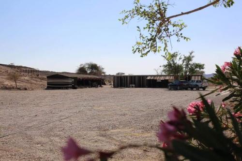 Wadi Ghwere Camp مخيم وادي الغوير in 馬安