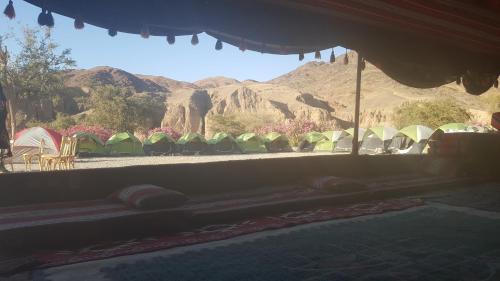 Wadi Ghwere Camp مخيم وادي الغوير in 馬安