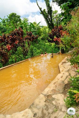 Ti Kwen Glo Cho in Saint George