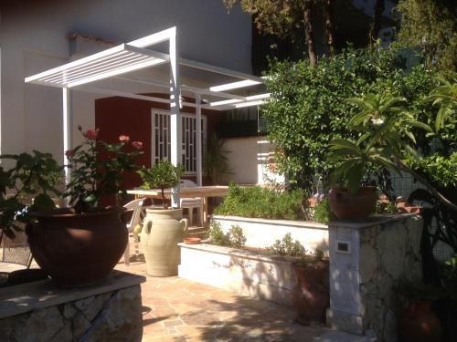 Il Giardino Dei Limoni - image 2