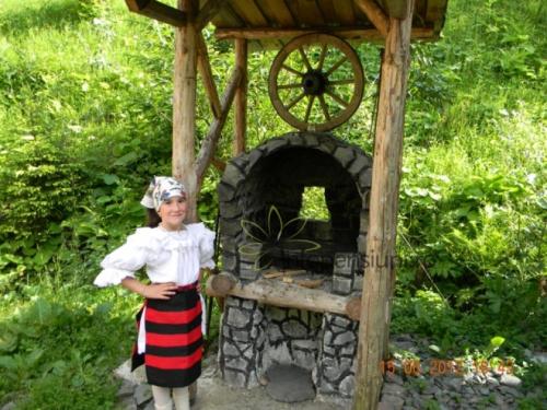 Cabana Larisa in Cavnic