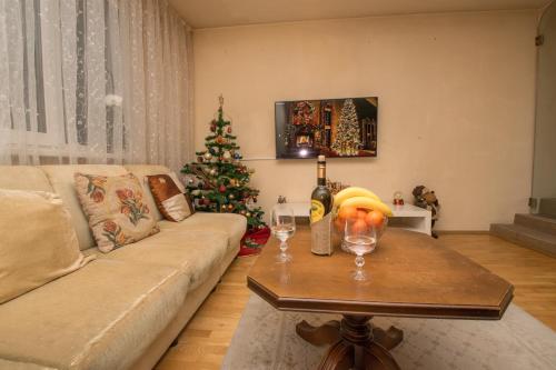 Cosy, quiet house with Vitosha view near Paradise, Sofia (foto 7)