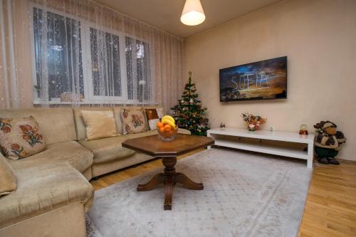 Cosy, quiet house with Vitosha view near Paradise, Sofia (foto 6)