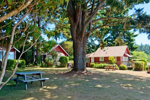 B&B Trinidad - View Crest Lodge - Bed and Breakfast Trinidad