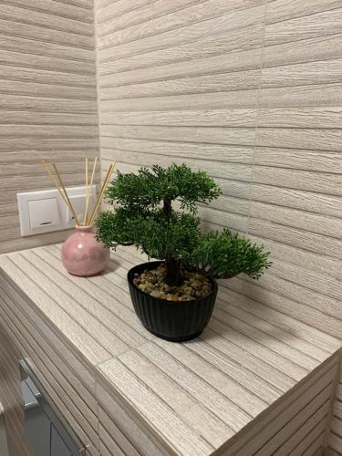 Holiday Apartment - image 8