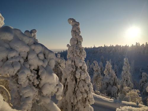 RukanKelo