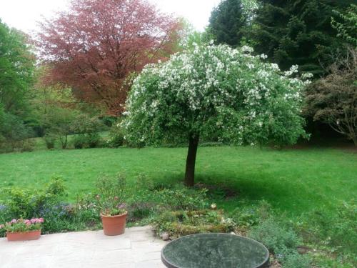 Zimmer mit Gartenblick